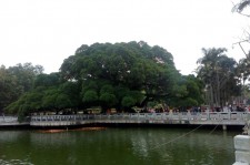 泰州福州旅游攻略(福州旅游攻略二日游)