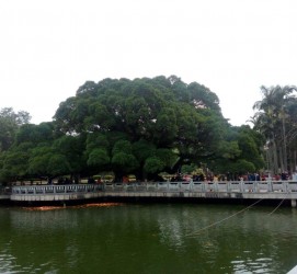泰州福州旅游攻略(福州旅游攻略二日游)