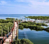 泰州旅游哪里好玩(云南旅游哪里好玩)