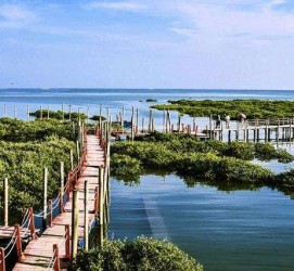 泰州旅游哪里好玩(云南旅游哪里好玩)