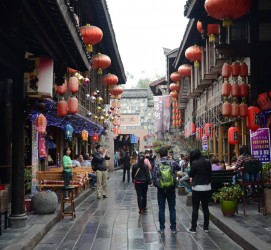 泰州成都自助游(成都自助游住哪里方便)