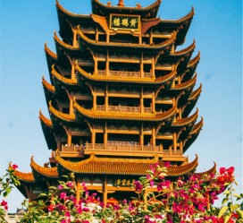 泰州武汉游玩攻略(武汉游玩攻略路线)
