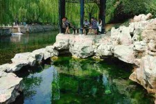 泰州济南旅游攻略(青岛威海济南旅游攻略)