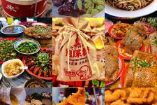 泰州重庆游玩攻略(重庆游玩攻略3天费用2人)