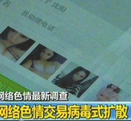 泰州上海伴游 伴游女郎白天陪玩晚上陪睡 网络跑火日薪过万(图)