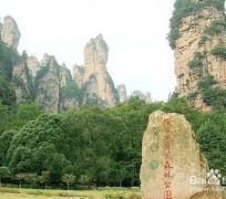 泰州自驾旅游攻略(自驾旅游攻略app排行榜)