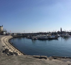 泰州大连旅游攻略(大连旅游攻略自由行)
