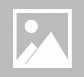 泰州商务伴游招聘 不法分子冒充宾馆网上高薪招吧女要求思想前卫